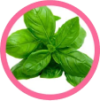 Basil